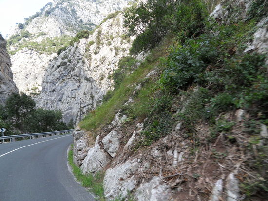 Desfiladero de la Hermida