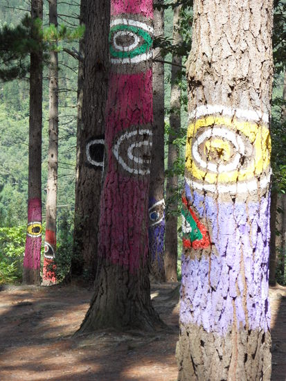 Agustin Ibbarolas bemalte Bäume