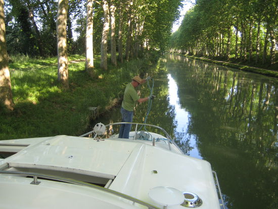 Im Schatten der Platanen