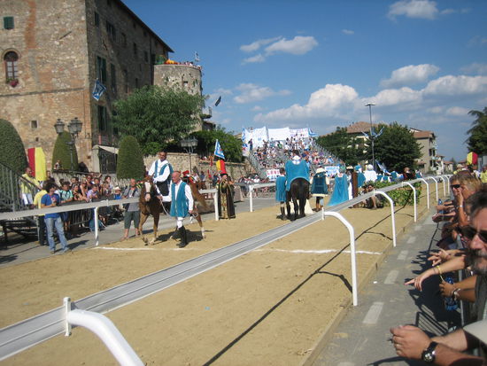 Ein faszinierendes Spektakel