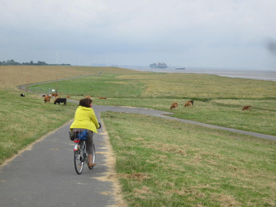 Radeln auf dem Deich