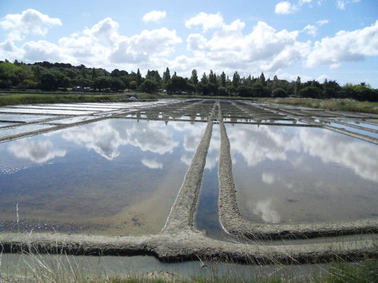 Die Salzgärten beim Campingplatz