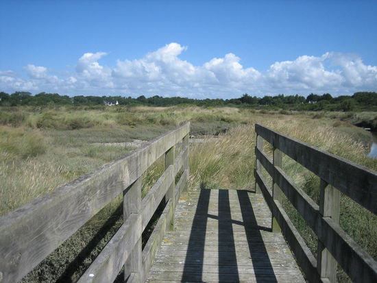 Spaziergang in den Salzgärten am Campingplatz