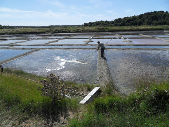 Der Paludier bei der Arbeit