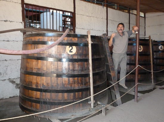 Hier drin lagert der edle Pisco