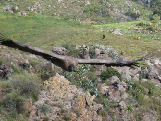 Wau gigantisch oder etwa nicht?!?