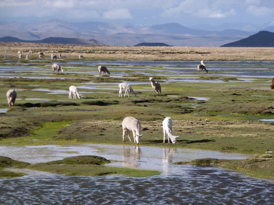 Isr das nicht schoen!!!