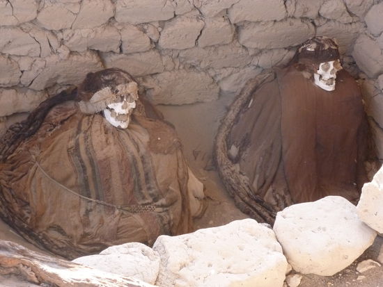 Die gsaen aber schno froesch us oder ned?!!