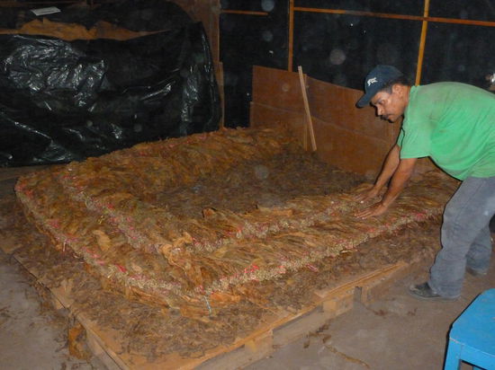 Besuch in der Zigarrenfabrik, eine riesen Handarbeit.