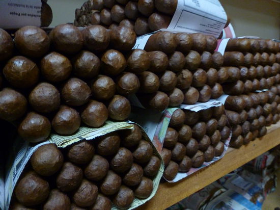 Sehen wie Schoggistengeli aus!!!