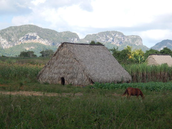 Das ist eine Scheune um Tabak zu trocknen