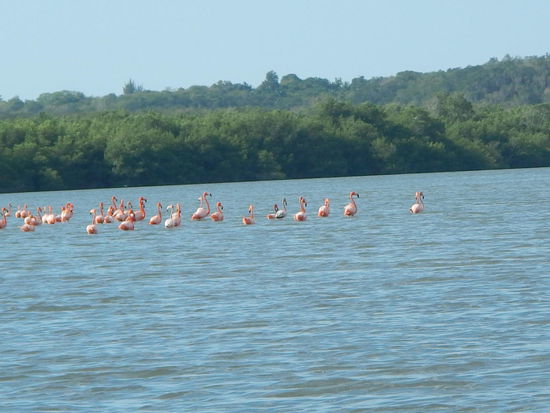 La Laguna de Guanaroca