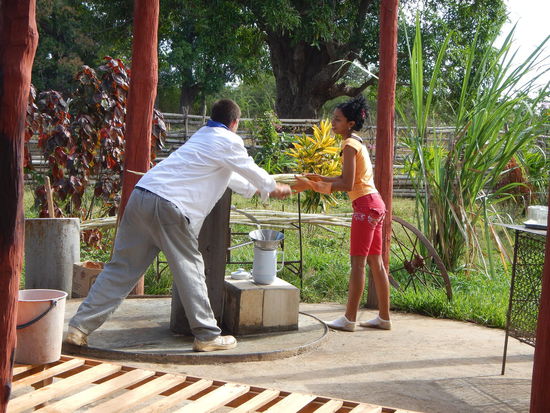 Hier wird frischer Zuckerrohrsaft gepresst