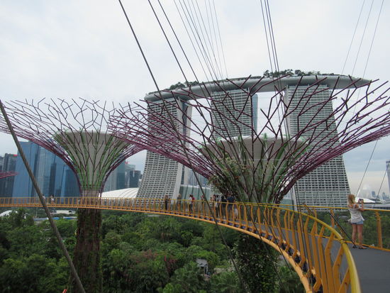 High tech Bäume mit dem Hotel Hotel Marina Bay Sand im Hintergrund