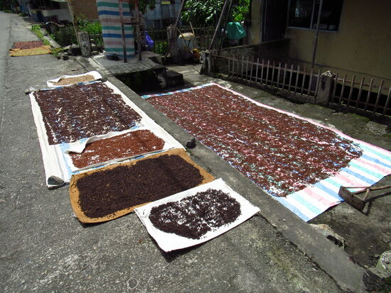 Gewürze wie Nelken und Kardamon werden hier getrocknet