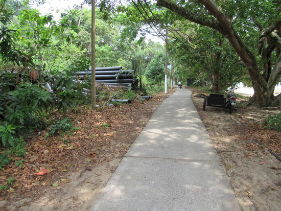 Die einzige Strasse die es bei uns gab