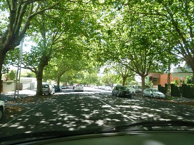 Auckland