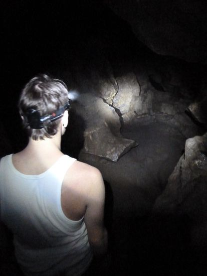 Waipu Caves: Stirnlampe ist ein muss, bis man bei den 1000en Gluehwuermchen ist, dann ausmachen uns staunen.