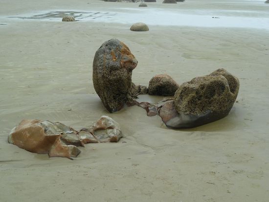 Moeraki Boulders. Besondere Sandsteinfelsen auf einem Strand.