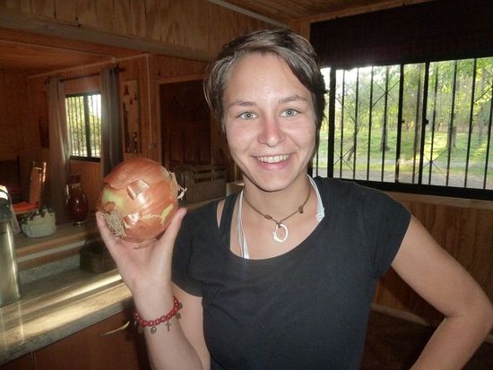 die Groesse der Zwiebeln hier ist echt gigantisch