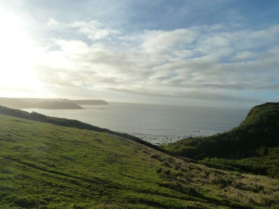 Saftig die Wiesen, wassrig das Meer.