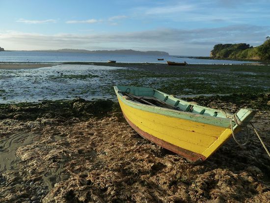 Algen und Fischerei sind sehr wichtig und fester Bestandteil der Kultur.