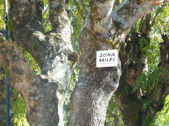 Auf der Plaza bieten Eichhoernchen Internet an.