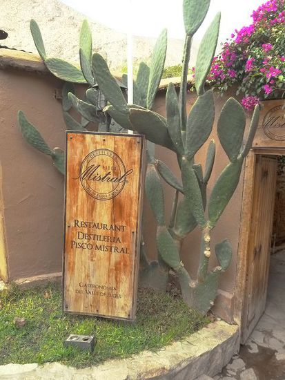 Pisco Elqui
