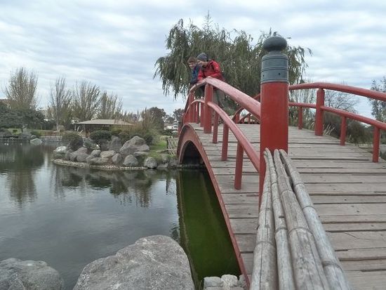 Katey mag Bruecken