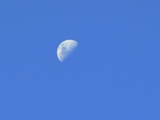 Ab Mittag sieht man hier den Mond, und zwar riesengross.