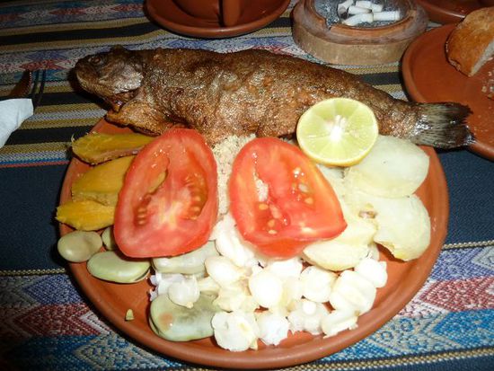 Forelle zum Abendessen