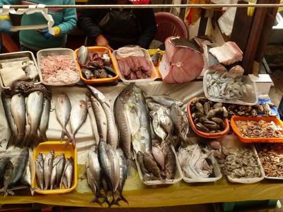 Fisch