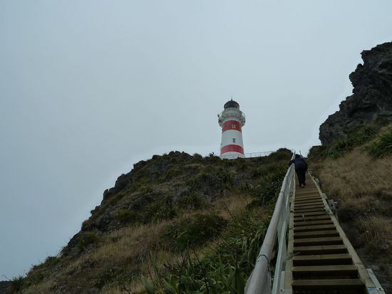 250 steile Stufen koennen einem echt unendlich vorkommen...