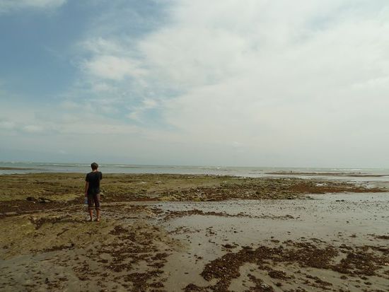 Strand bei Ebbe
