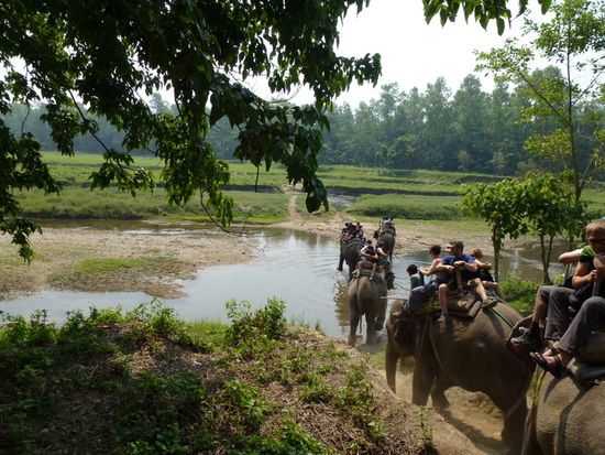 Auf geht es zur Elefantensafari