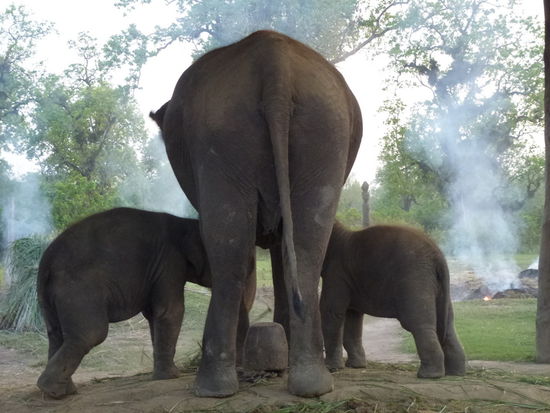 ...irgendwie doch süß, oder?