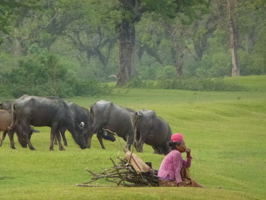 Kuhhirtin im Tharudorf