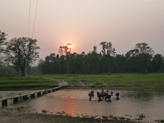 Abendrot und Abschiedsstimmung!