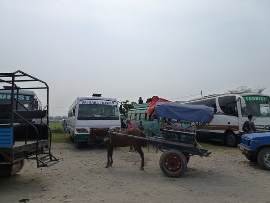 Mein Bus Sai Baba Travels (also der hinter der Kutsche)