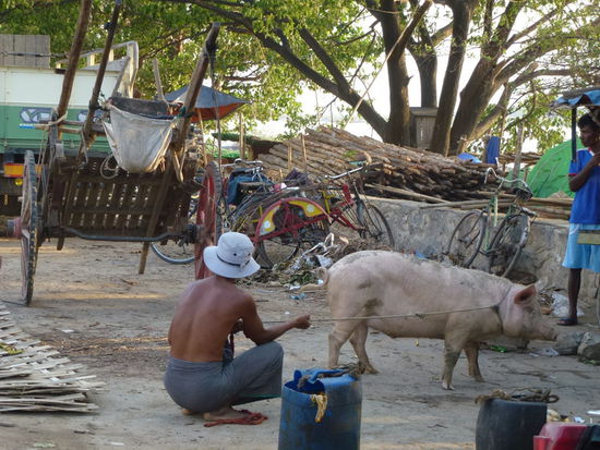 Alltag auf den Straßen