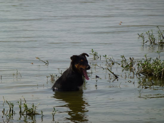 Es ist soooo heiß!!!