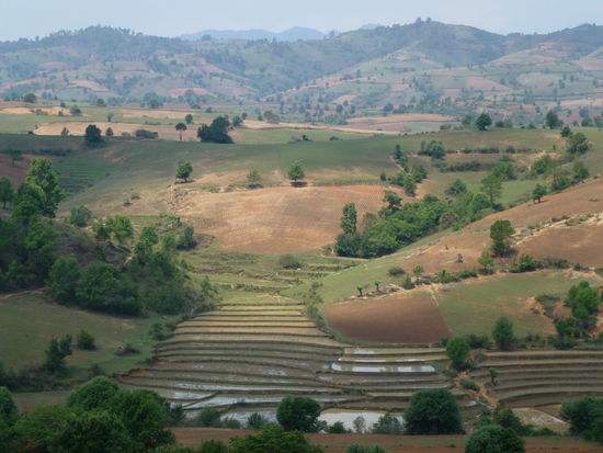 Nichts spektakuläres, aber dennoch eine sehr schöne Abwechslung von den ganzen Tempeln und Buddhas