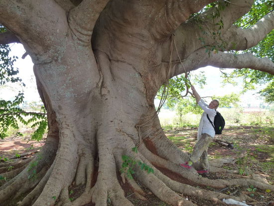 hhmmm, manchmal fühlt man sich ganz klein