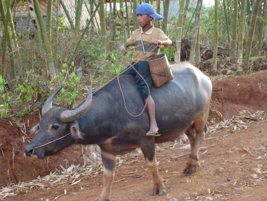Dorfalltag oder dicke Freunde?
