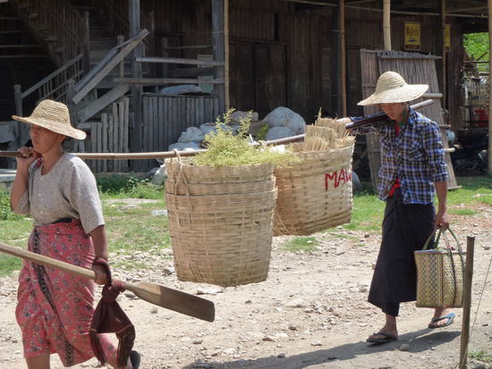 Einkaufstüten schleppen