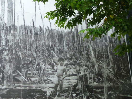 Die Natur hilft sich selber...