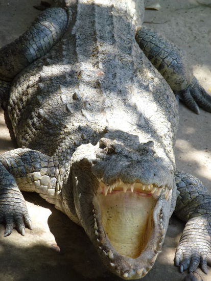 Ich fand es auch zum gähnen langweilig!