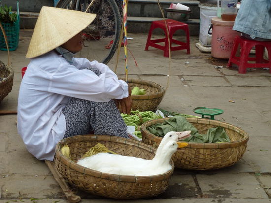 Der tägliche Markt...warten auf Käufer!