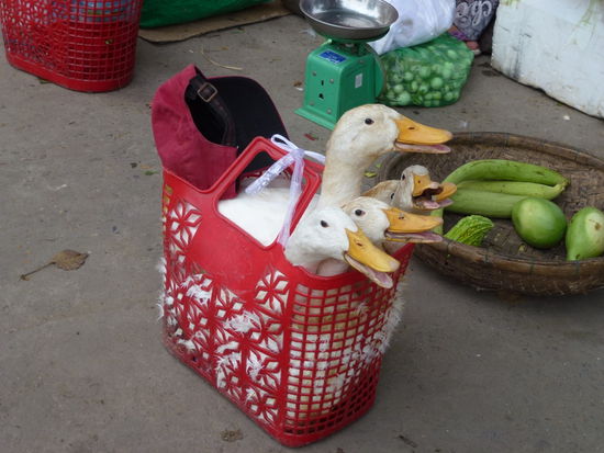 ...warten auf den Abtransport...