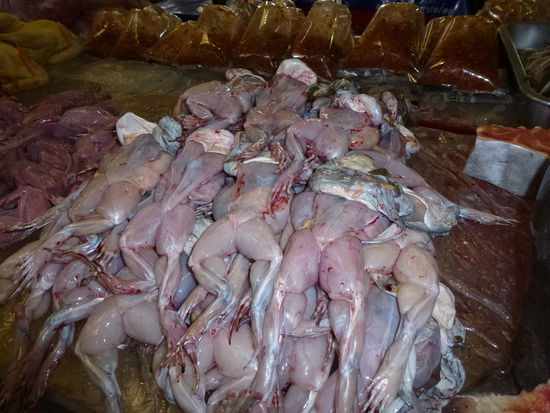 Küß mich, ich bin ein Frosch